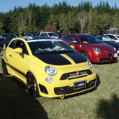 HOT EURO CAR SHOWDOWN